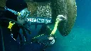 Cygnus DIVE used on ship underwater.webp