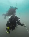 Cygnus DIVE used from The SHIPS Project.webp