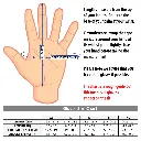 superstretch-gloves-size-guide.webp